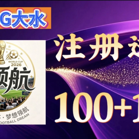 领航国际